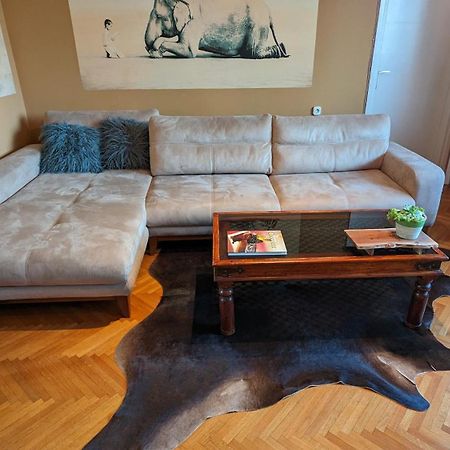 Center, Private Garage, Danube & Fortress, 3 Bdrm 2 Bath Νόβι Σαντ Εξωτερικό φωτογραφία