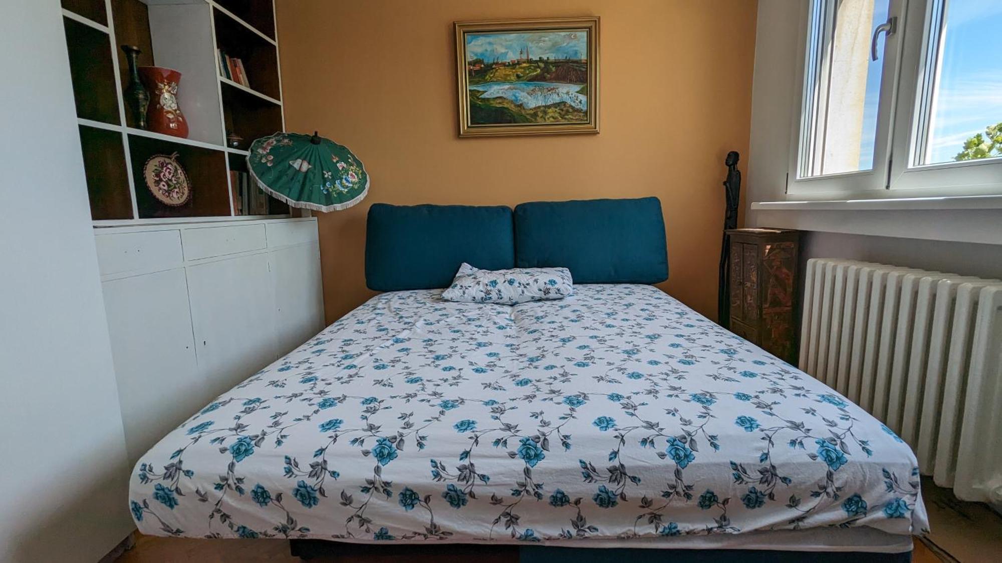 Center, Private Garage, Danube & Fortress, 3 Bdrm 2 Bath Νόβι Σαντ Εξωτερικό φωτογραφία