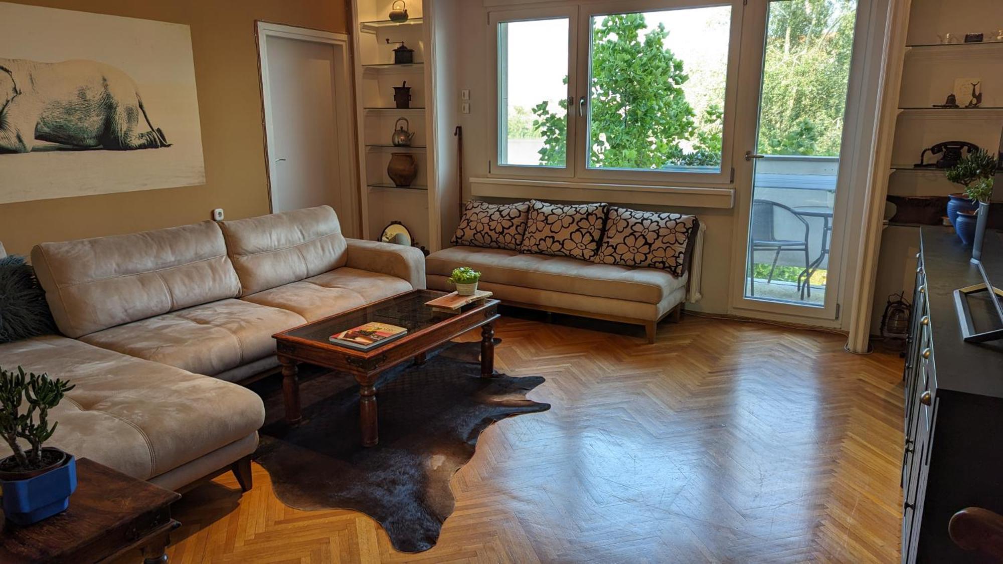 Center, Private Garage, Danube & Fortress, 3 Bdrm 2 Bath Νόβι Σαντ Εξωτερικό φωτογραφία